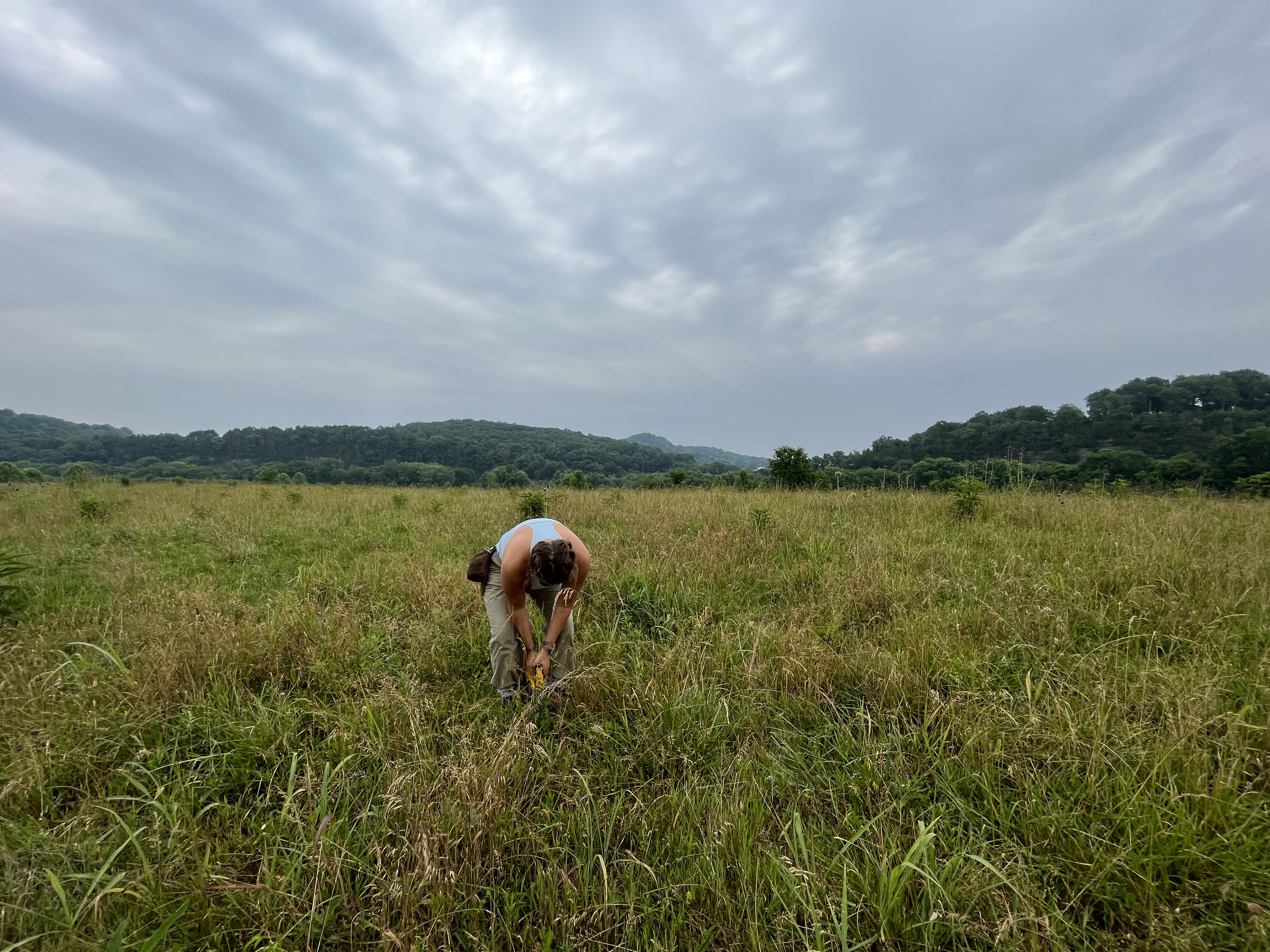 Soil Research and Regenerative Farming at Caney Fork Farms