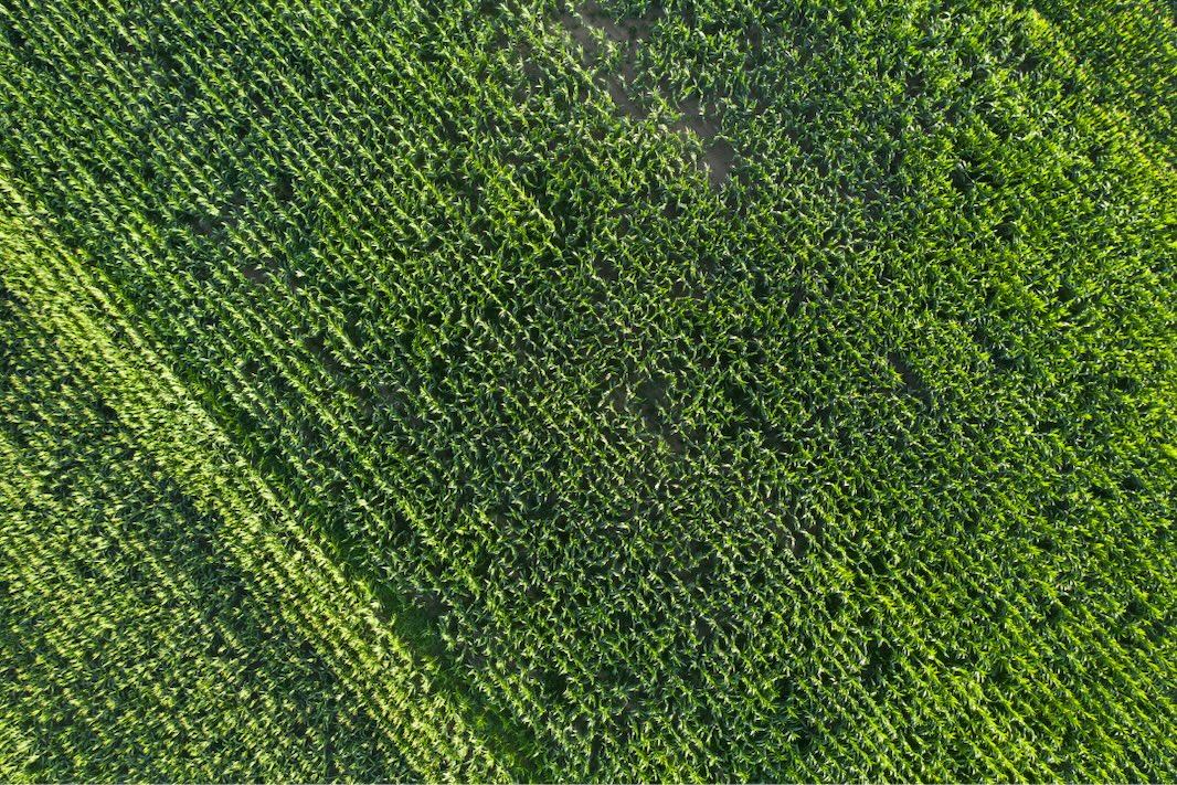 Distributed Soil Sampling for Modeling Increases Access—and Science