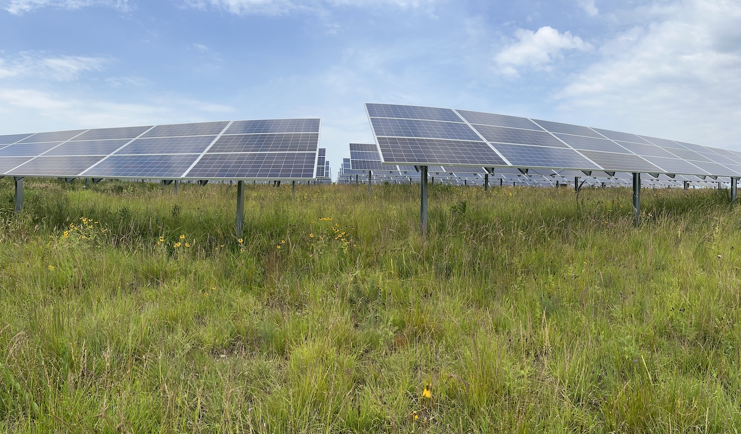 TSIP partnerships to generate ecological insights in solar facilities