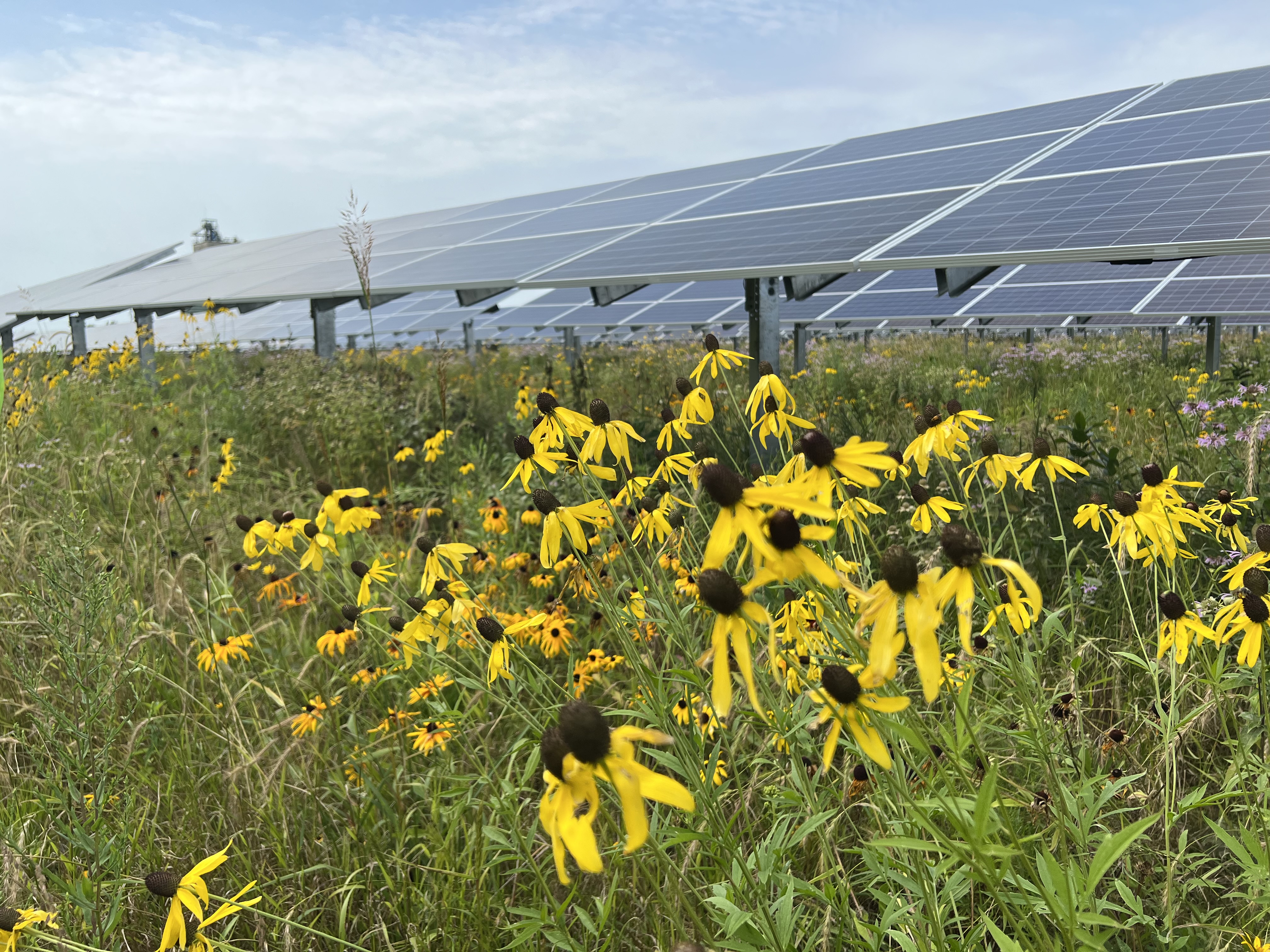 Solar and Agriculture Integration. Sampling 30 Agrovoltaic Sites with NREL