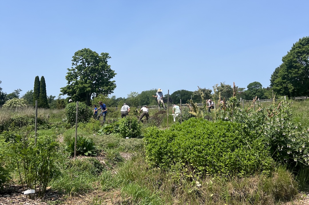 Regional hubs network illustration