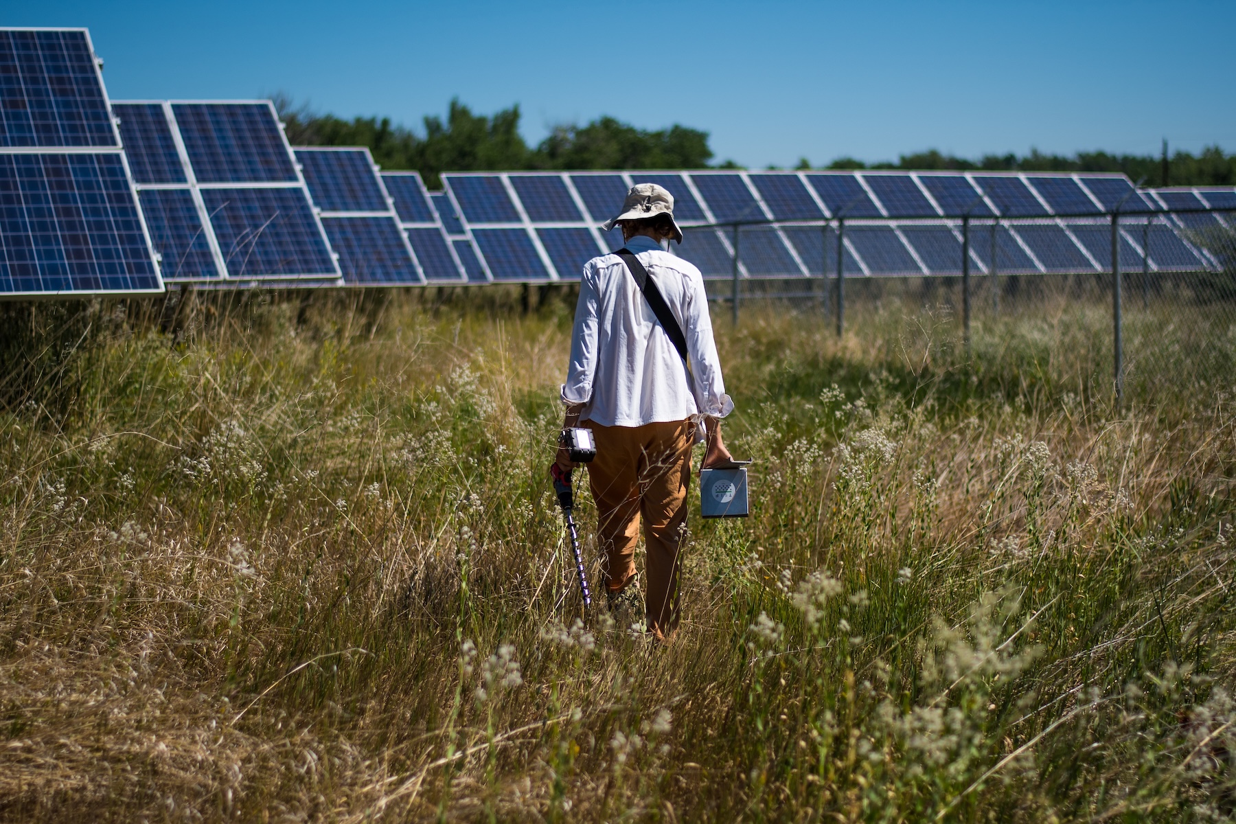 Dataset Builder interface